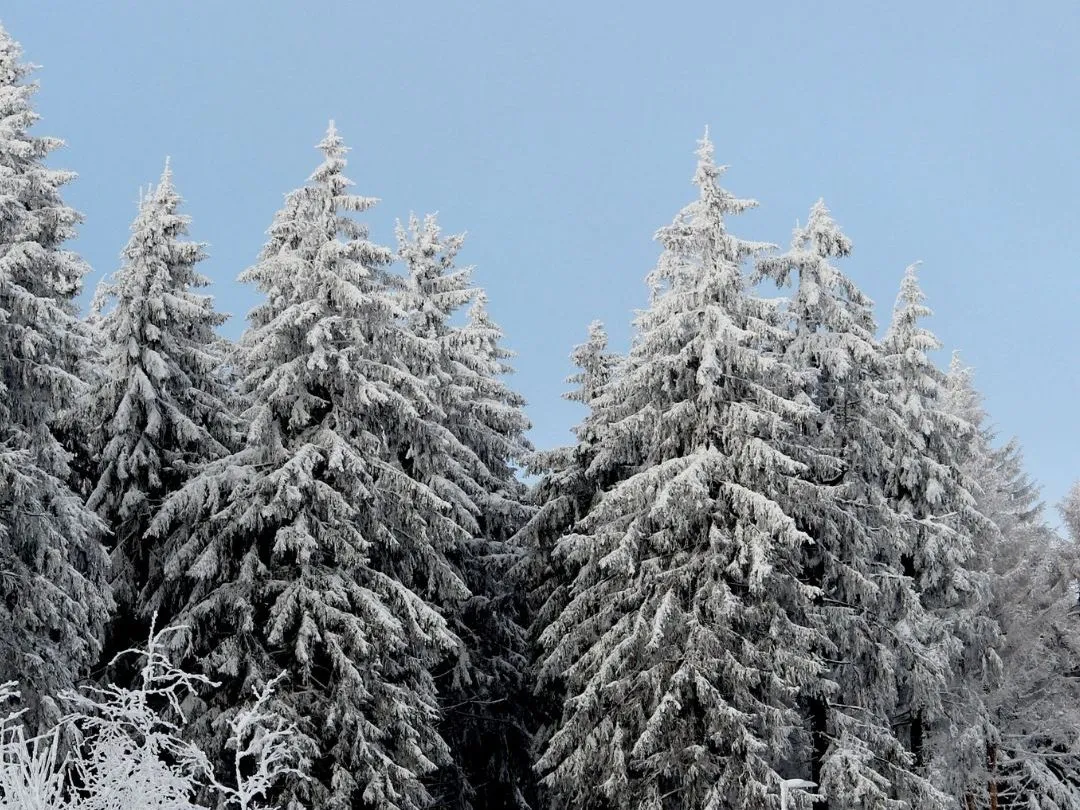 Rhön Natur