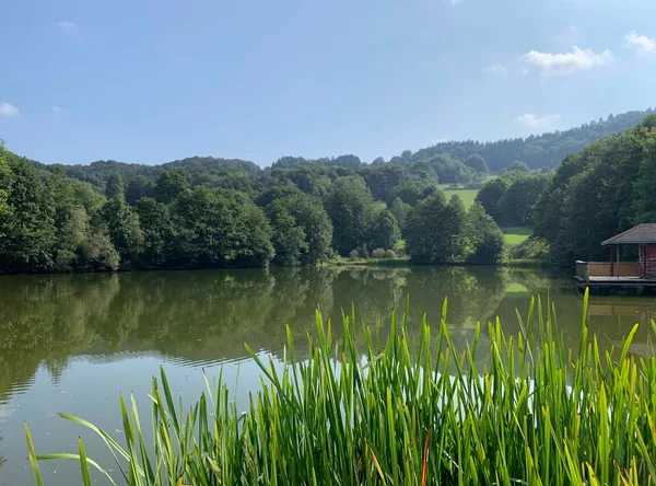 Guckaisee mit Schilfufer und Spiegelung im Wasser