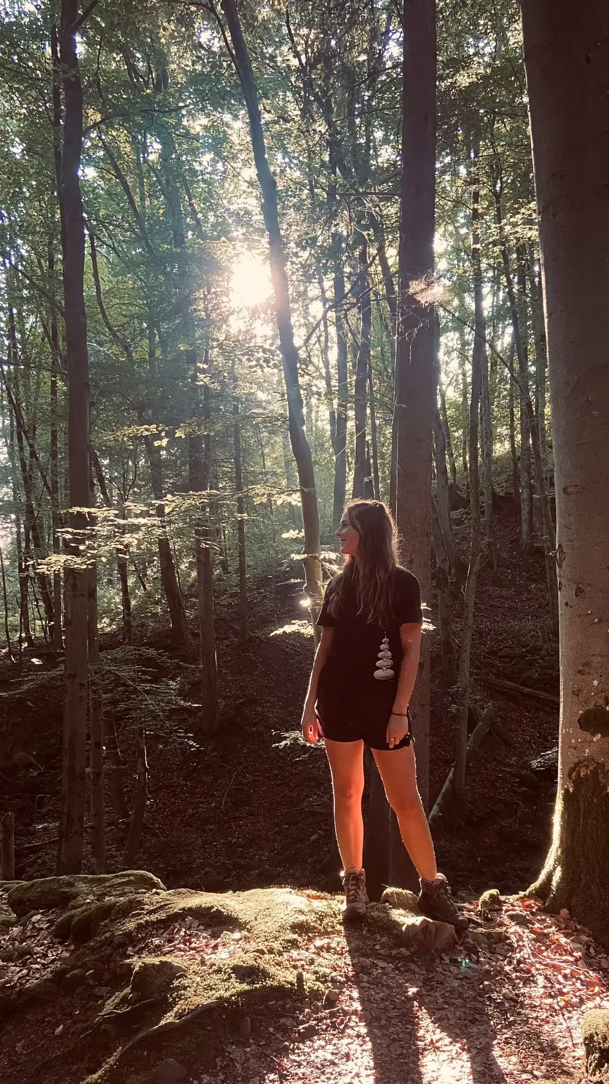 Waldspaziergang in der Rhön mit Sonnenstrahlen durch die Bäume