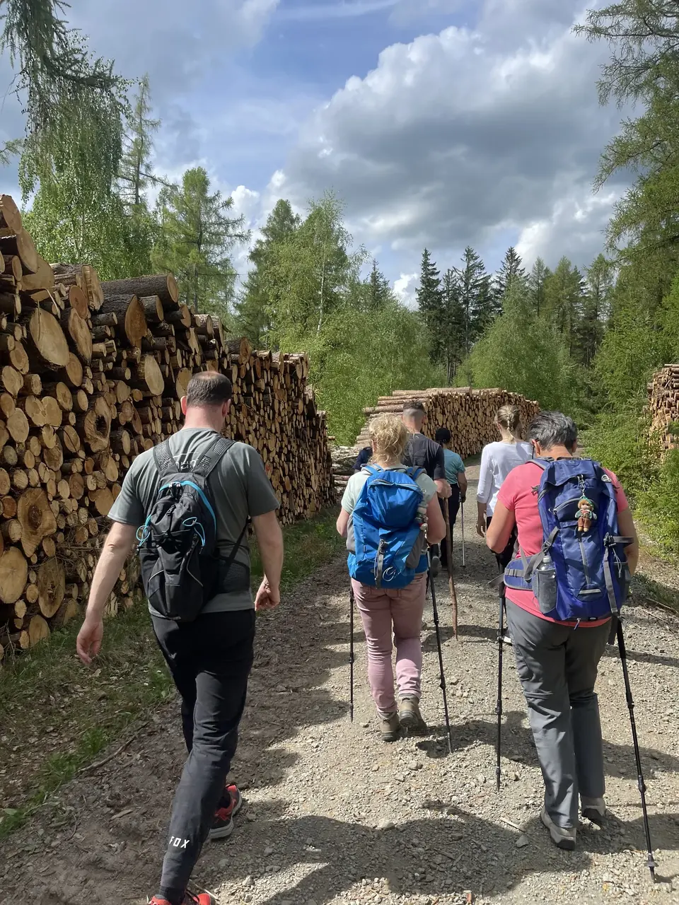 Wandergruppe mit Rucksäcken und Stöcken auf einem Naturweg im Wald