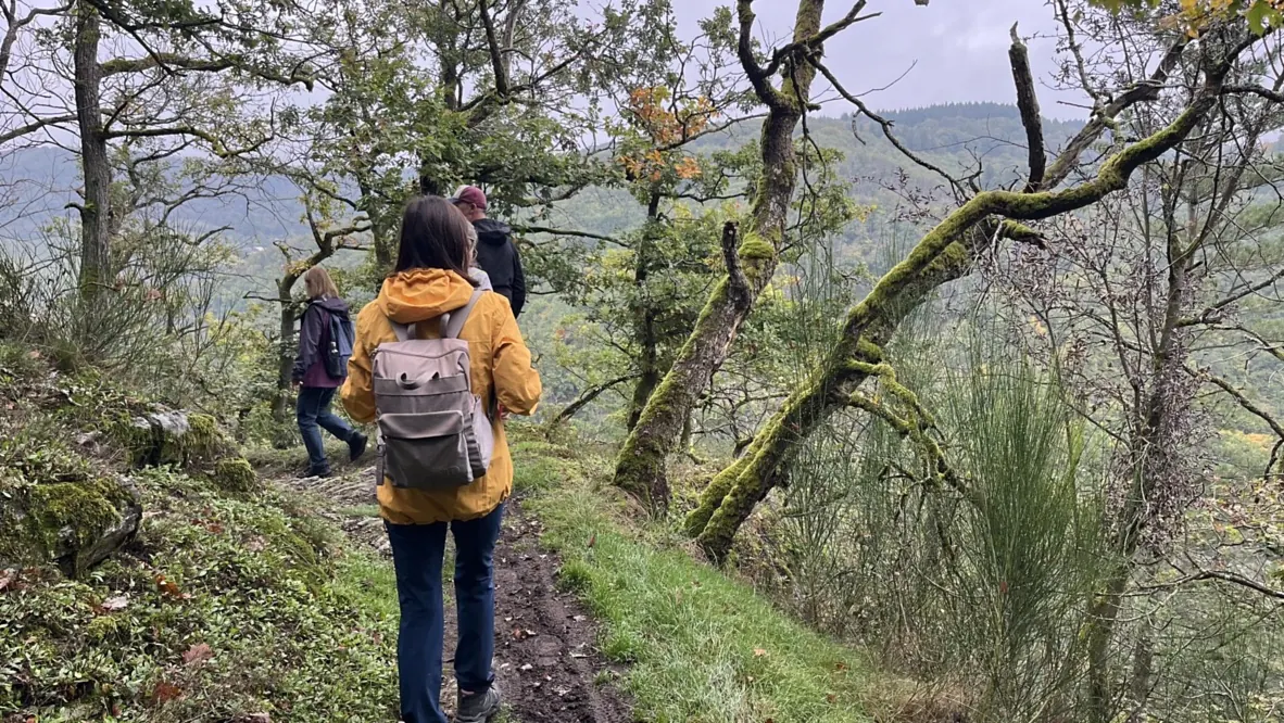 Wanderung auf einem schmalen Pfad durch den herbstlichen Mischwald